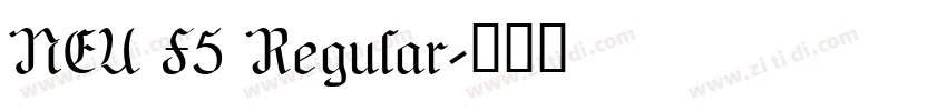 NEU F5 Regular字体转换